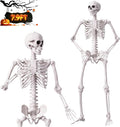 Giant white plastic skeleton shown in two poses with a 7.9 ft sign